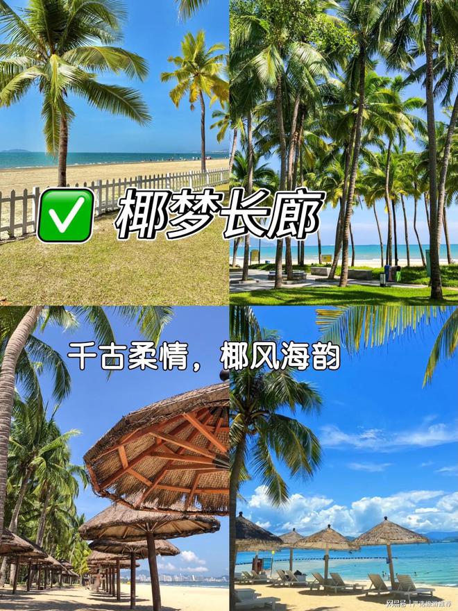 路线最详细的行程景点及路线安排j9国际三亚旅游攻略自由行最佳(图4)