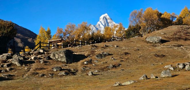 旅行社TOP10：游遍天下零坑真实案例九游会j9登录百万游客票选！四川靠谱(图4)