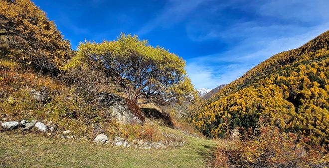 旅行社TOP10：游遍天下零坑真实案例九游会j9登录百万游客票选！四川靠谱(图5)